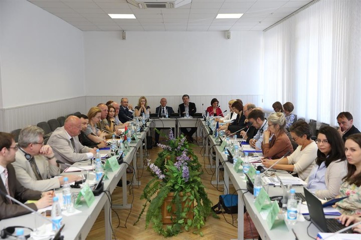 Meeting June 2016 AG Support for the Belarus Roadmap